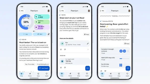google fitbit air features